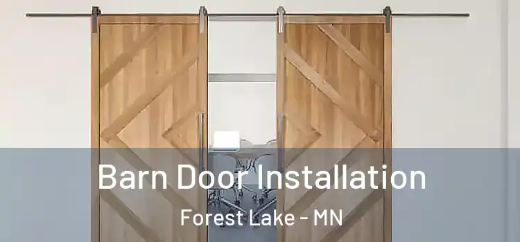 Barn Door Installation Forest Lake - MN