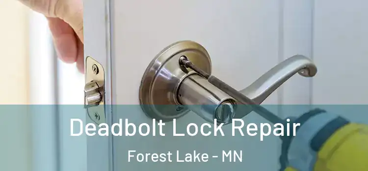 Deadbolt Lock Repair Forest Lake - MN