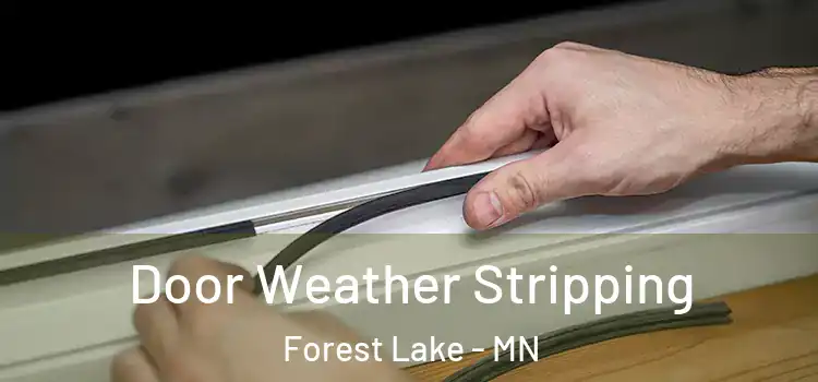  Door Weather Stripping Forest Lake - MN
