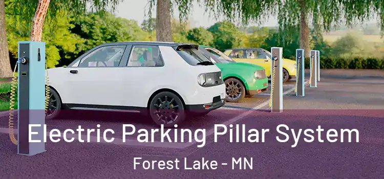  Electric Parking Pillar System Forest Lake - MN