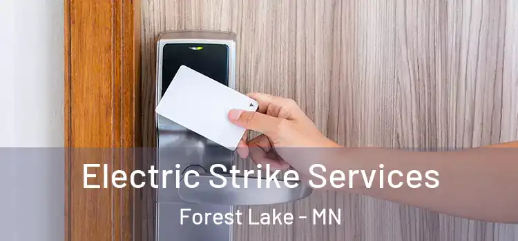 Electric Strike Services Forest Lake - MN