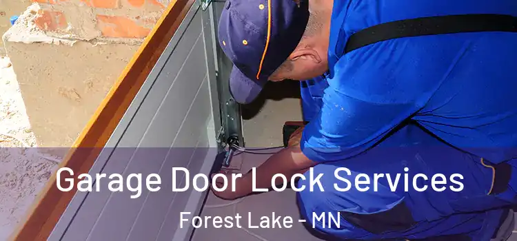 Garage Door Lock Services Forest Lake - MN
