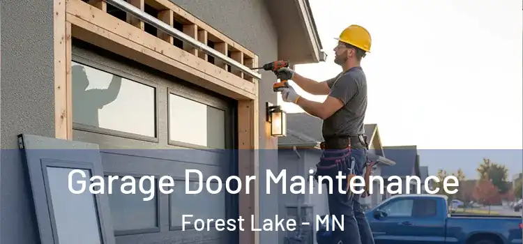  Garage Door Maintenance Forest Lake - MN