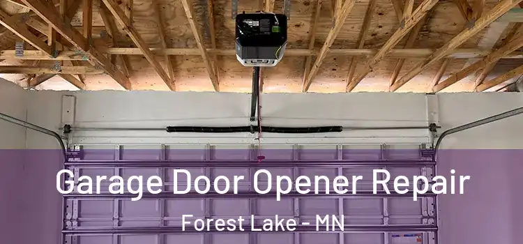  Garage Door Opener Repair Forest Lake - MN