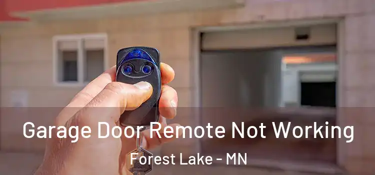  Garage Door Remote Not Working Forest Lake - MN