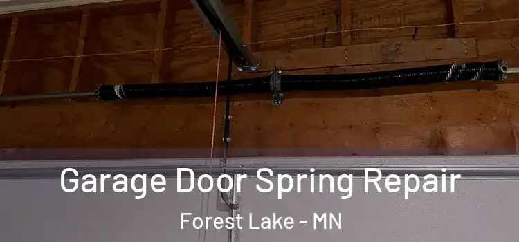  Garage Door Spring Repair Forest Lake - MN
