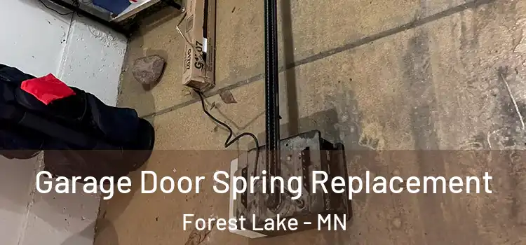  Garage Door Spring Replacement Forest Lake - MN