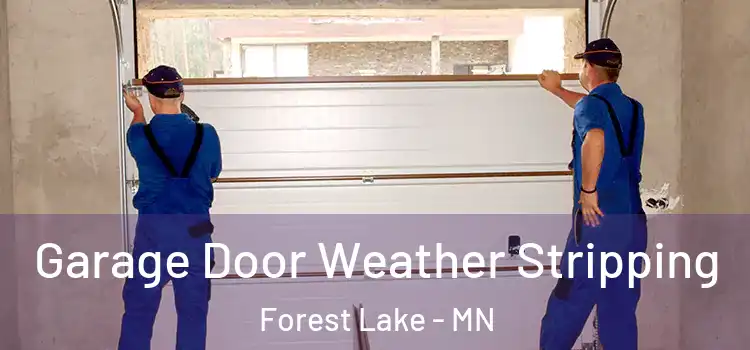  Garage Door Weather Stripping Forest Lake - MN