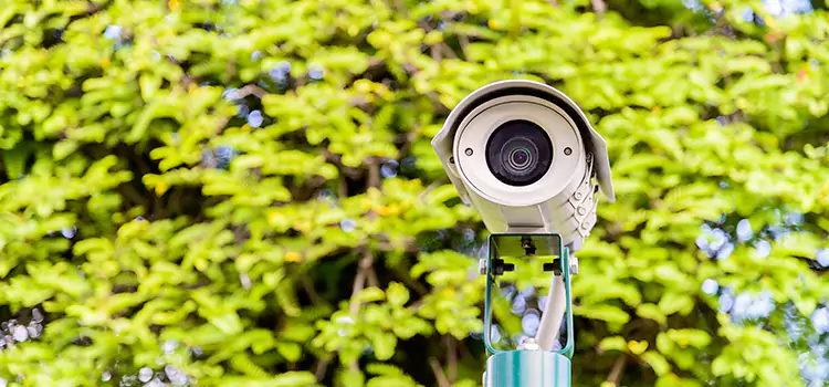 Advanced Surveillance Solutions for Every Need in Forest Lake
