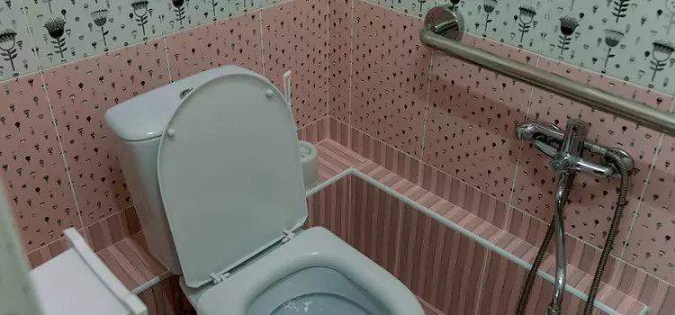 Meeting Diverse Needs With Accessible Restroom Solutions in Forest Lake, MN
