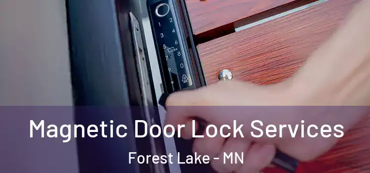 Magnetic Door Lock Services Forest Lake - MN