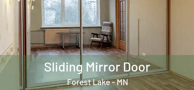  Sliding Mirror Door Forest Lake - MN