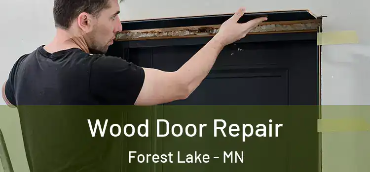 Wood Door Repair Forest Lake - MN